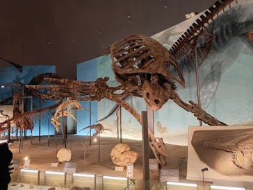 福井県立恐竜博物館に投稿された画像（2025/11/8）