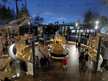 福井県立恐竜博物館に投稿された画像（2025/11/8）