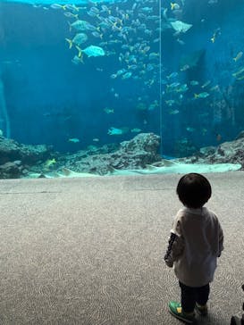 鴨川シーワールドに投稿された画像（2025/11/8）