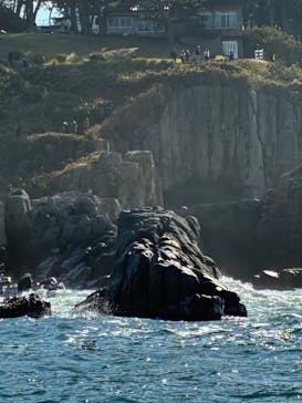 東尋坊観光遊覧船株式会社に投稿された画像（2025/11/8）