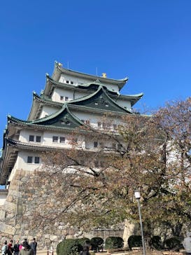 名古屋城に投稿された画像（2025/11/8）