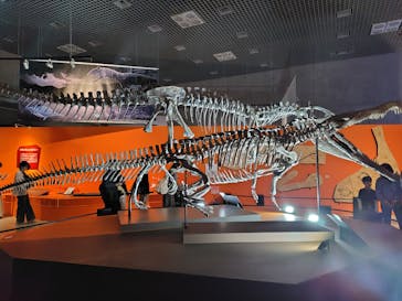 特別展「大絶滅展―生命史のビッグファイブ」に投稿された画像（2025/11/8）