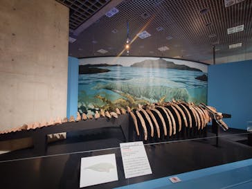 特別展「大絶滅展―生命史のビッグファイブ」に投稿された画像（2025/11/8）