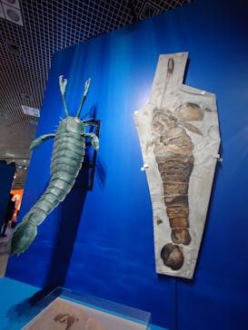 特別展「大絶滅展―生命史のビッグファイブ」に投稿された画像（2025/11/8）