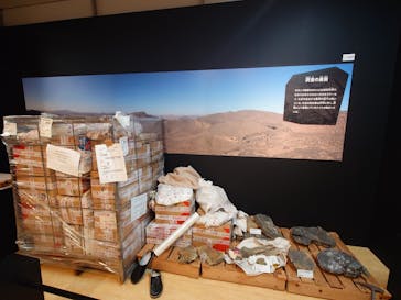 特別展「大絶滅展―生命史のビッグファイブ」に投稿された画像（2025/11/8）