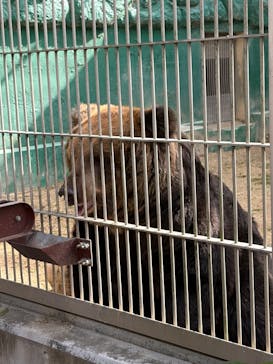 東武動物公園に投稿された画像（2025/11/8）