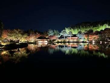 国営昭和記念公園 秋の夜散歩に投稿された画像（2025/11/8）