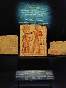 ACN ラムセス大王展 ファラオたちの黄金に投稿された画像（2025/11/8）