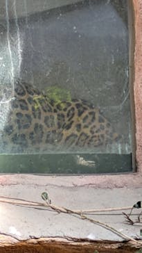 那須どうぶつ王国に投稿された画像（2025/11/8）