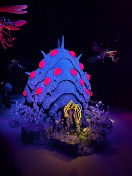 金曜ロードショーとジブリ展（静岡展）に投稿された画像（2025/11/8）