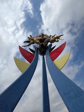 日本モンキーパークに投稿された画像（2025/11/8）