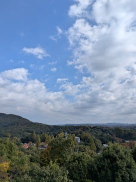 日本モンキーパークに投稿された画像（2025/11/8）