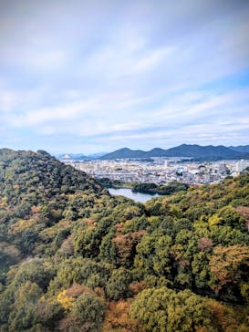 日本モンキーパークに投稿された画像（2025/11/8）