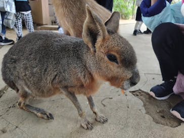 横浜・八景島シーパラダイスに投稿された画像（2025/11/8）