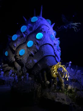 金曜ロードショーとジブリ展（静岡展）に投稿された画像（2025/11/8）