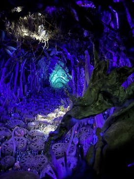 金曜ロードショーとジブリ展（静岡展）に投稿された画像（2025/11/8）