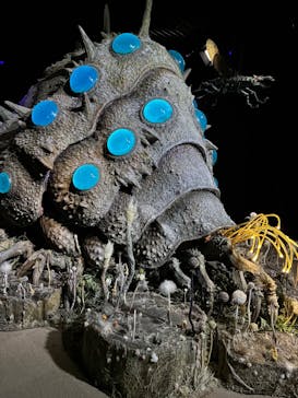 金曜ロードショーとジブリ展（静岡展）に投稿された画像（2025/11/8）