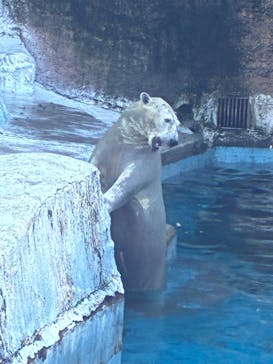 天王寺動物園に投稿された画像（2025/11/8）