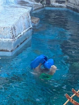 天王寺動物園に投稿された画像（2025/11/8）