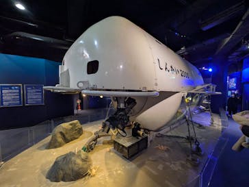 新江ノ島水族館に投稿された画像（2025/11/8）