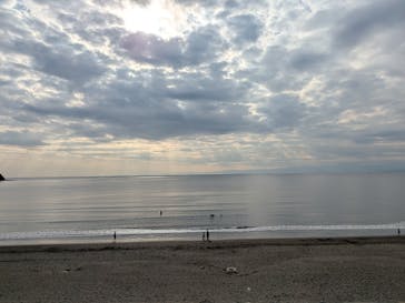 新江ノ島水族館に投稿された画像（2025/11/8）