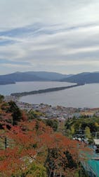 天橋立ケーブルカーに投稿された画像（2025/11/8）