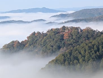 備北タクシー高梁営業所に投稿された画像（2025/11/8）