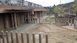 名古屋市東山動植物園に投稿された画像（2025/11/8）