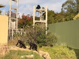 名古屋市東山動植物園に投稿された画像（2025/11/8）