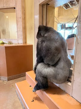 名古屋市東山動植物園に投稿された画像（2025/11/8）