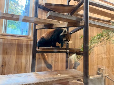 名古屋市東山動植物園に投稿された画像（2025/11/8）