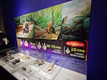 特別展「大絶滅展―生命史のビッグファイブ」に投稿された画像（2025/11/8）