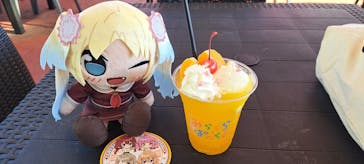 グリーンランドに投稿された画像（2025/11/8）