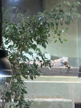 名古屋市東山動植物園に投稿された画像（2025/11/8）