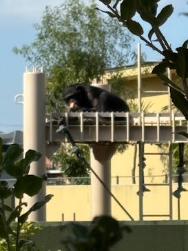 名古屋市東山動植物園に投稿された画像（2025/11/8）