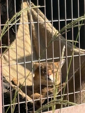 名古屋市東山動植物園に投稿された画像（2025/11/8）