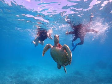 Nami宮古島に投稿された画像（2025/11/8）