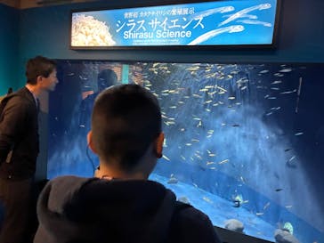 新江ノ島水族館に投稿された画像（2025/11/8）