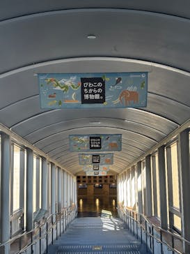 滋賀県立琵琶湖博物館に投稿された画像（2025/11/8）