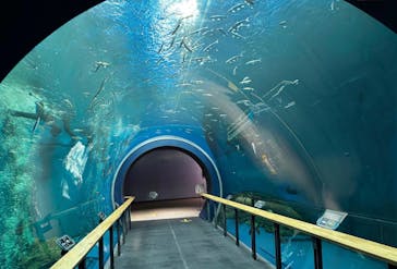 滋賀県立琵琶湖博物館に投稿された画像（2025/11/8）