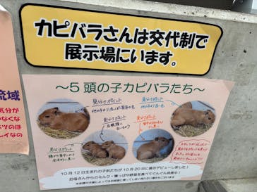 竹島水族館に投稿された画像（2025/11/8）