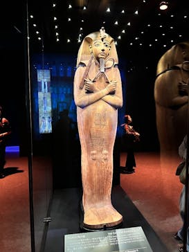 ACN ラムセス大王展 ファラオたちの黄金に投稿された画像（2025/11/8）