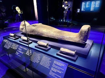 ACN ラムセス大王展 ファラオたちの黄金に投稿された画像（2025/11/8）