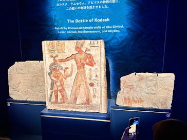 ACN ラムセス大王展 ファラオたちの黄金に投稿された画像（2025/11/8）