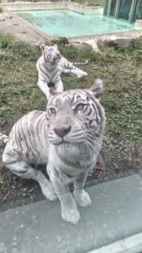 伊豆アニマルキングダムに投稿された画像（2025/11/8）