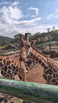 伊豆アニマルキングダムに投稿された画像（2025/11/8）