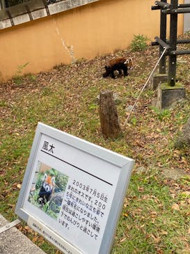 千葉市動物公園に投稿された画像（2025/11/8）
