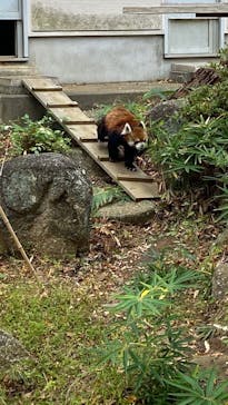 千葉市動物公園に投稿された画像（2025/11/8）
