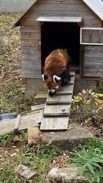 千葉市動物公園に投稿された画像（2025/11/8）
