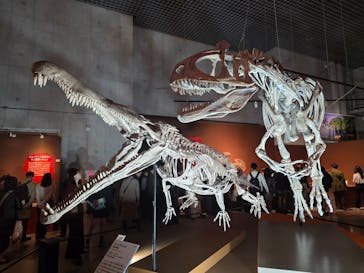 特別展「大絶滅展―生命史のビッグファイブ」に投稿された画像（2025/11/8）